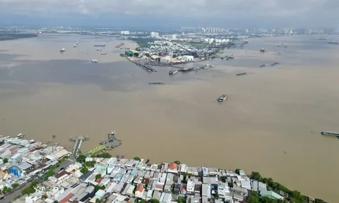 Chi tiết thiết kế cầu Cần Giờ sắp phá thế độc đạo phà Bình Khánh