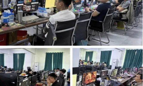 Ổ nhóm lừa đảo khiến 500 người Việt sập bẫy với số tiền gần 140 tỷ đồng, một bà mẹ đơn thân ở Hà Nội mất 27 tỷ đồng