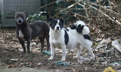 Hãy hành động ngay