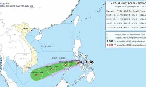 Áp thấp nhiệt đới hình thành, vùng biển Đà Nẵng đến Đắk Lắk có gió giật cấp 7-8