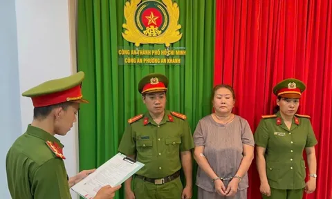 Bắt tạm giam Đỗ Hồng Trinh