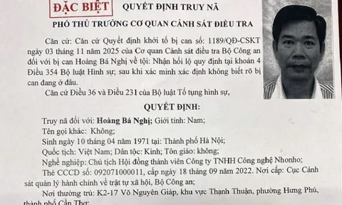 Bộ Công an truy nã đặc biệt Hoàng Bá Nghị, Chủ tịch Công ty NhoNho
