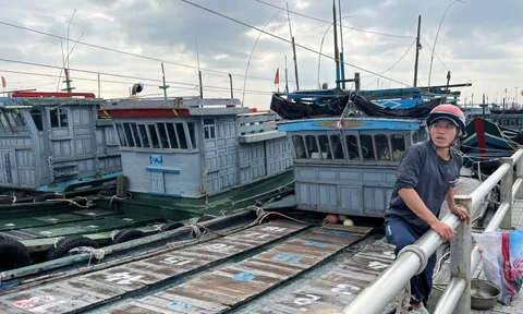 Mỏi mòn chờ tiền hỗ trợ, ngư dân Huế "hụt hơi"