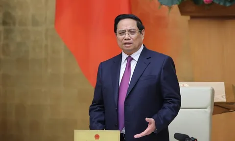 Thủ tướng yêu cầu xử lý dứt điểm vụ lô hàng cá cờ kiếm vi phạm khuyến nghị của EC