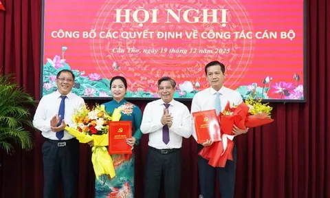 Điều động, bổ nhiệm nhân sự ở 5 tỉnh, thành