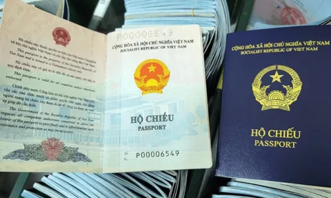 Giải thể và chấm dứt hoạt động Quỹ Bảo hộ công dân và pháp nhân Việt Nam ở nước ngoài