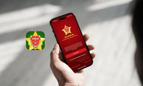 Thông tin người dân cập nhật ngay trên VNeID kẻo mất quyền lợi