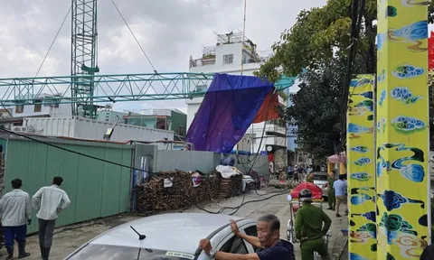 Hé lộ nguyên nhân vụ sập cần cẩu giữa trung tâm Đà Nẵng