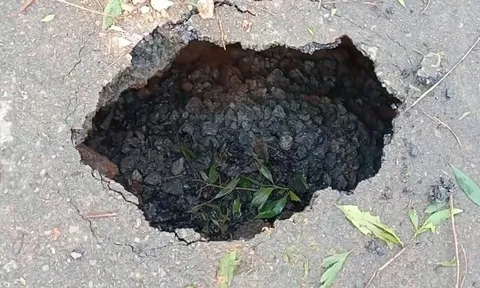 Điều bất thường xuất hiện giữa Quốc lộ 9B ở Quảng Trị