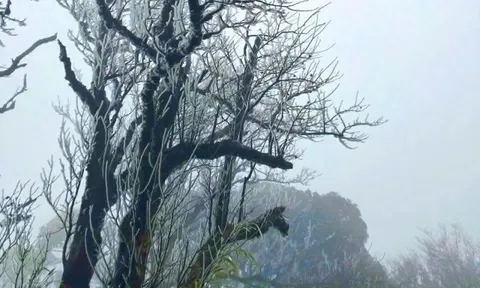 Đỉnh Phja Oắc ở Cao Bằng xuất hiện băng giá