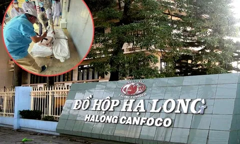 Vụ hơn 120 tấn thịt lợn nhiễm bệnh ôi thiu tuồn vào Công ty Đồ hộp Hạ Long: Người thu mua khai gì?