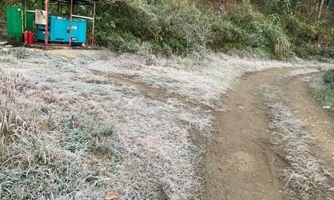 VIDEO: Băng giá xuất hiện tại một tỉnh miền Trung khi nhiệt độ xuống âm 5 độ C