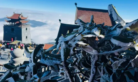 Sáng nay đỉnh Fansipan xuất hiện băng tuyết