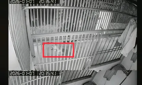 Khi hàng xóm thành... đối thủ