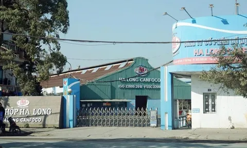 Nhà máy Đồ hộp Hạ Long - Hải Phòng tạm dừng sản xuất sau khi Tổng Giám đốc bị bắt