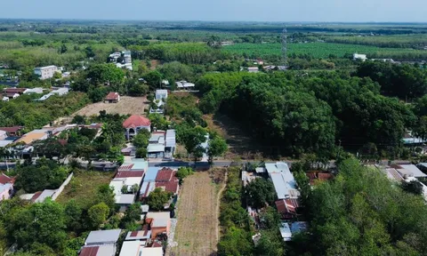 Khởi công tuyến chính cao tốc TPHCM - Mộc Bài tháng 4-2026