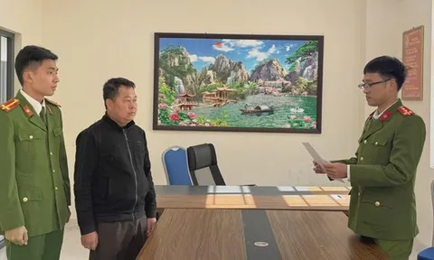 Một giám đốc bị khởi tố