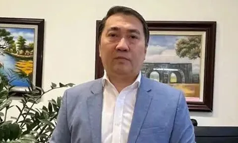 Toà án Đức: Lê Trung Khoa có thể bị phạt tù 2 năm nếu tiếp tục vu khống Vingroup