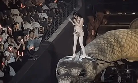 Hé lộ hậu trường show cưỡi rắn khổng lồ khiến Thái Y Lâm lỗ hơn 260 tỷ đồng