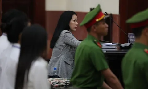 Xét xử Đinh Thị Lan xúc phạm vợ chồng Huỳnh Uy Dũng, Nguyễn Phương Hằng