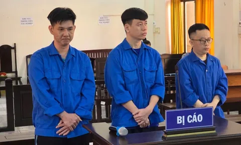 Cựu nhân viên ngân hàng lừa đảo 8 tỉ đồng tại Phú Quốc vì thua lỗ bất động sản