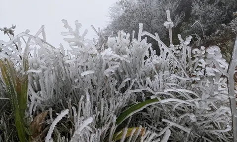 Miền Bắc chìm trong rét đậm, rét hại, Mẫu Sơn lạnh 0 độ C