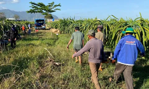 Người đàn ông tử vong trong vườn thanh long ở Lâm Đồng