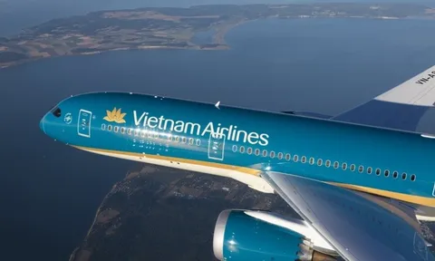 Cảnh báo quan trọng từ Vietnam Airlines
