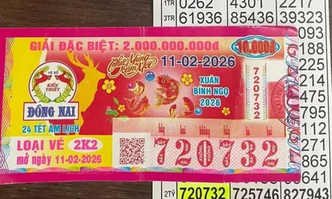 Xổ số miền Nam: Người trúng 2 giải độc đắc vé Xuân Bính Ngọ 2026 đã lộ diện