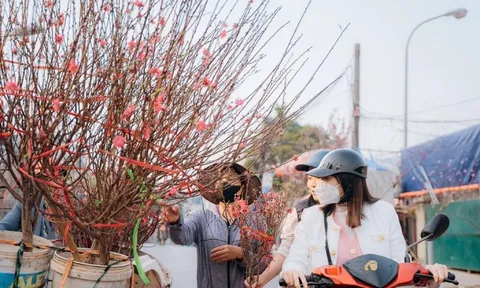 Miền Bắc nắng ấm trước khi chuyển mưa rét