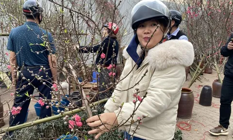 Dự báo thời tiết Tết Nguyên đán, xuất hiện diễn biến mới vào đêm giao thừa