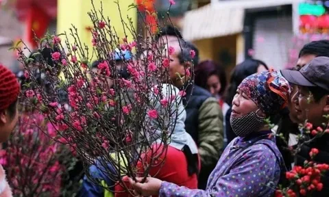 Không khí lạnh tràn xuống đúng mùng 1 Tết Bính Ngọ 2026: Miền Bắc chuyển rét, nhiệt độ giảm sâu