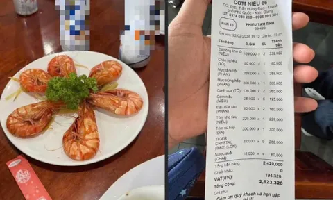 Mạng xã hội tranh luận về dĩa tôm 300.000 đồng ở Phú Quốc dịp Tết