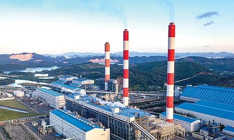 Bộ Công an khởi tố, bắt tạm giam một Phó Tổng Giám đốc Công ty Nhiệt điện Quảng Ninh