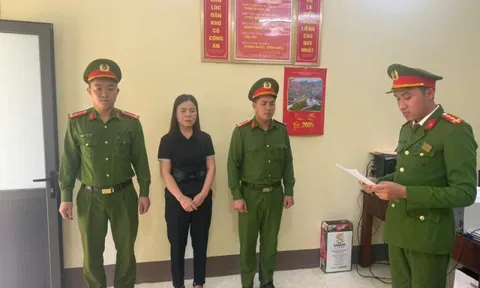 Khởi tố Vũ Thị Bích Ngọc, ai là bị hại liên hệ ngay số điện thoại 0982.619.586