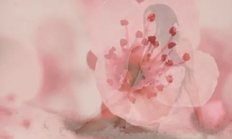 Siêu mẫu giàu nhất nước Đức diện nội y cực nóng bỏng bên con gái cưng