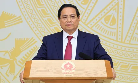 Phái đoàn Thanh tra EC sắp sang kiểm tra, Thủ tướng chỉ đạo gỡ bằng được "thẻ vàng" IUU