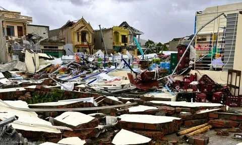 Năm 2026, bão và áp thấp nhiệt đới ảnh hưởng tới nước ta thế nào?