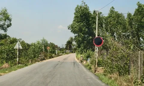 Khó hiểu biển báo tải trọng liên tục bị bôi đen trên tuyến đường phục vụ sân bay Phù Cát