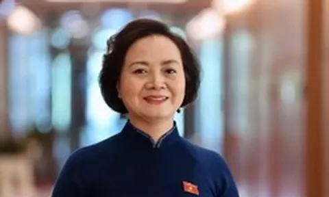 Phó Thủ tướng, Bộ trưởng và các thứ trưởng trúng cử đại biểu Quốc hội khóa XVI