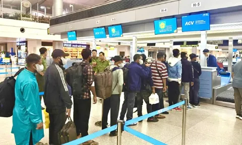 Quy định về xử phạt trục xuất đối với người nước ngoài vi phạm pháp luật Việt Nam