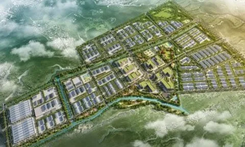 Tập đoàn T&T Group đầu tư dự án quan trọng đối với An Giang và ĐBSCL