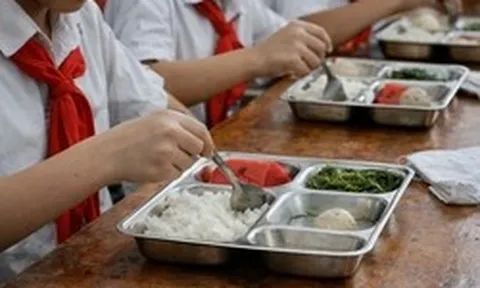 Hơn 2.900 trường học tại Hà Nội phải rà soát nhà cung cấp thực phẩm sau chấn động 300 tấn lợn bệnh len lỏi vào bếp ăn