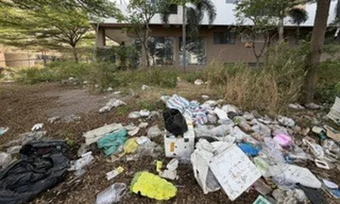 TPHCM: 74 điểm ô nhiễm còn tồn đọng rác