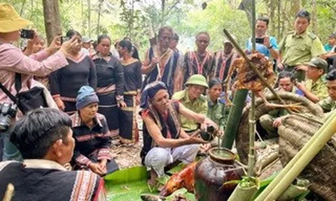 Độc đáo Lễ cúng rừng thu hút hàng ngàn người ở Gia Lai