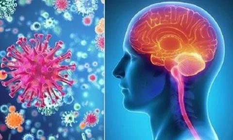 Kết quả xét nghiệm 3 trường hợp nghi viêm não mô cầu ở Cà Mau