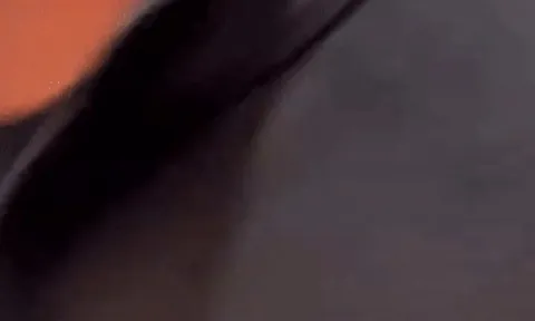 Nam ca sĩ 26 tuổi bị fan cuồng chửi bới, gây hỗn loạn tại sân bay