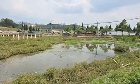 CLIP: Hồ lắng ô nhiễm nặng cạnh hồ Xuân Hương, Lâm Đồng chi 48 tỉ đồng để “giải cứu”