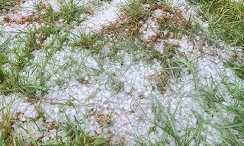 CLIP: Mưa đá dồn dập ở vùng cao Quảng Ngãi, phủ trắng mặt đất