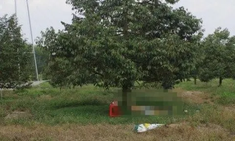 Điều tra vụ người đàn ông tử vong cạnh khẩu súng trong vườn sầu riêng